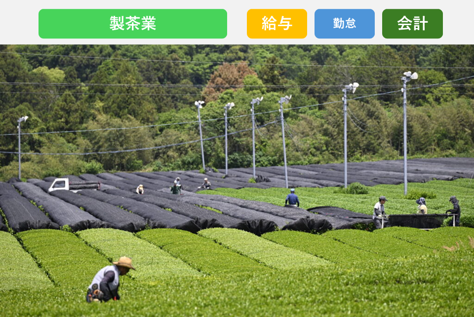 「バラバラのシステムから卒業 — 会計・勤怠・給与を“一括クラウド”で一気に効率化