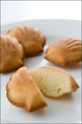 シェル・レーヌ