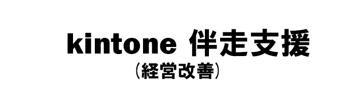 kintone 伴走支援(経営改善)